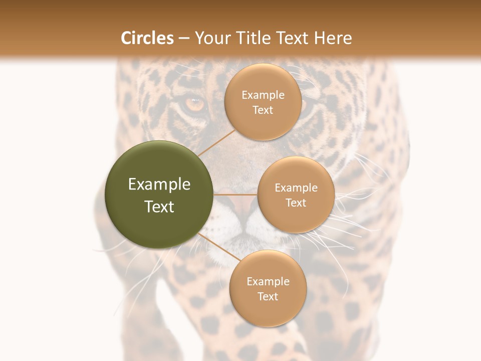 Bu Ine Humor Per On PowerPoint Template