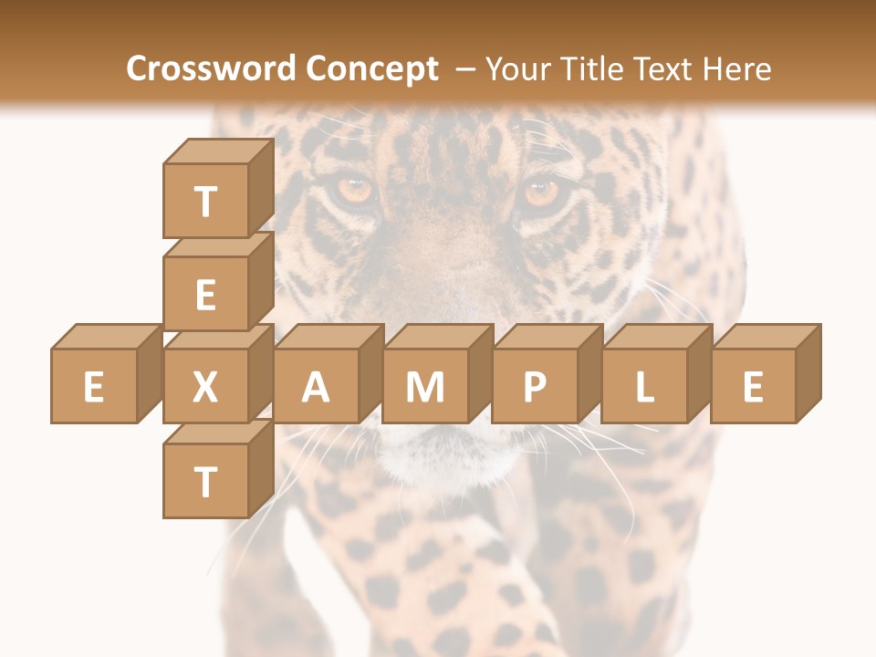 Bu Ine Humor Per On PowerPoint Template