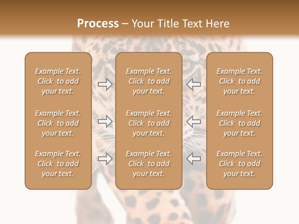 Bu Ine Humor Per On PowerPoint Template