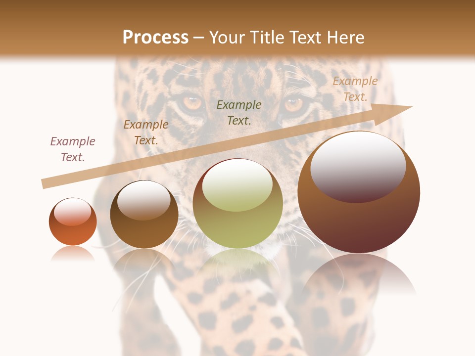 Bu Ine Humor Per On PowerPoint Template