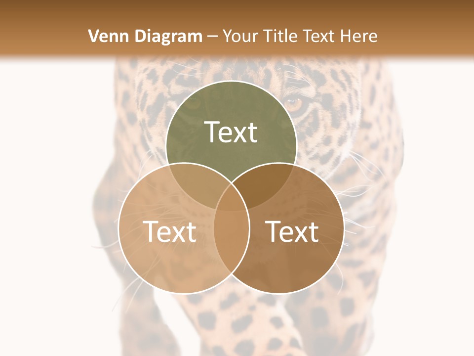 Bu Ine Humor Per On PowerPoint Template