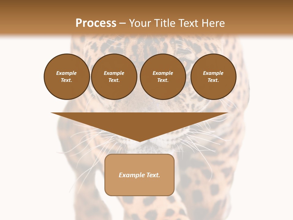 Bu Ine Humor Per On PowerPoint Template