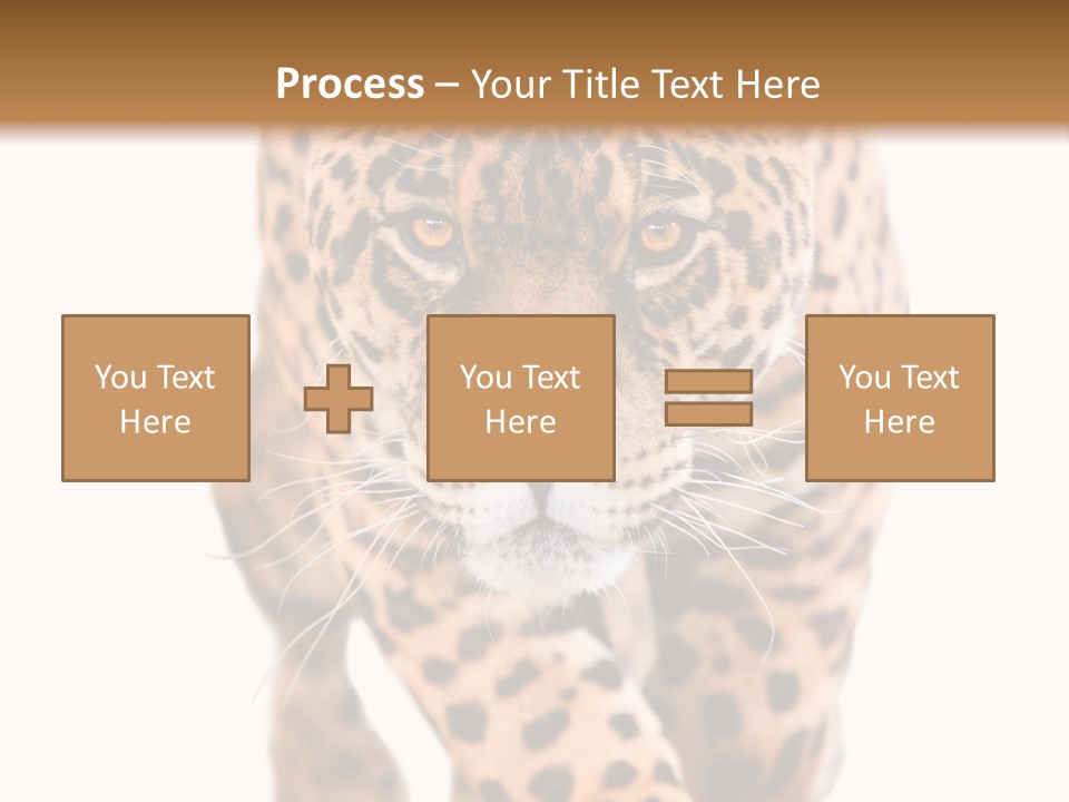 Bu Ine Humor Per On PowerPoint Template