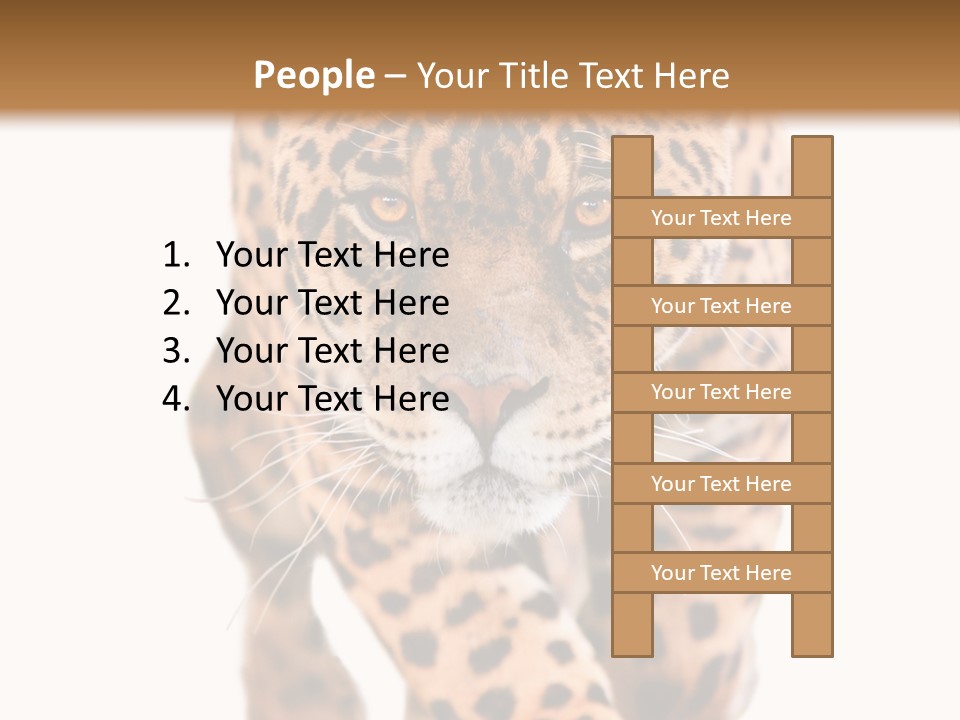 Bu Ine Humor Per On PowerPoint Template