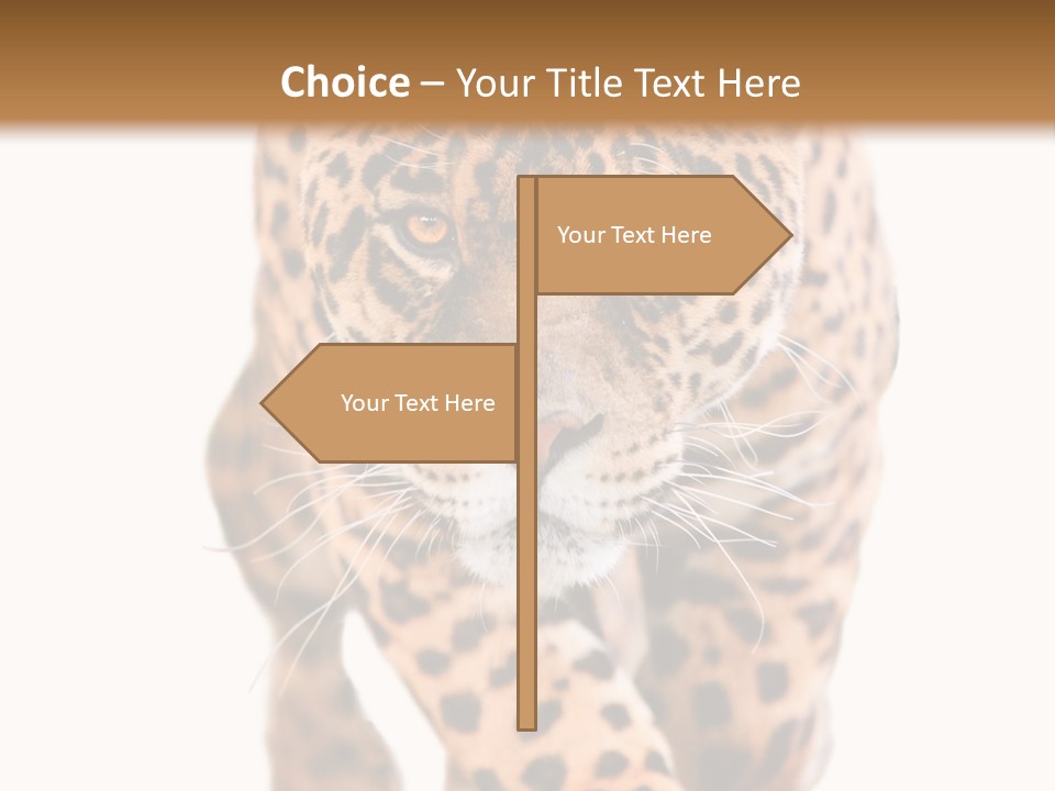 Bu Ine Humor Per On PowerPoint Template