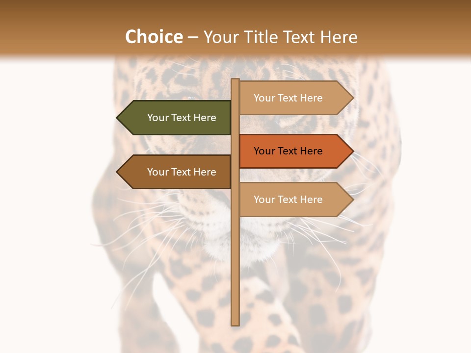 Bu Ine Humor Per On PowerPoint Template