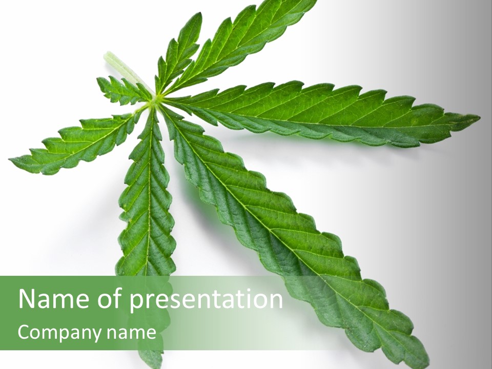 Joint Marijuana Medicine PowerPoint Template