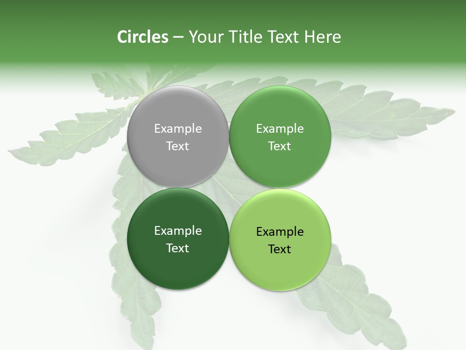 Joint Marijuana Medicine PowerPoint Template
