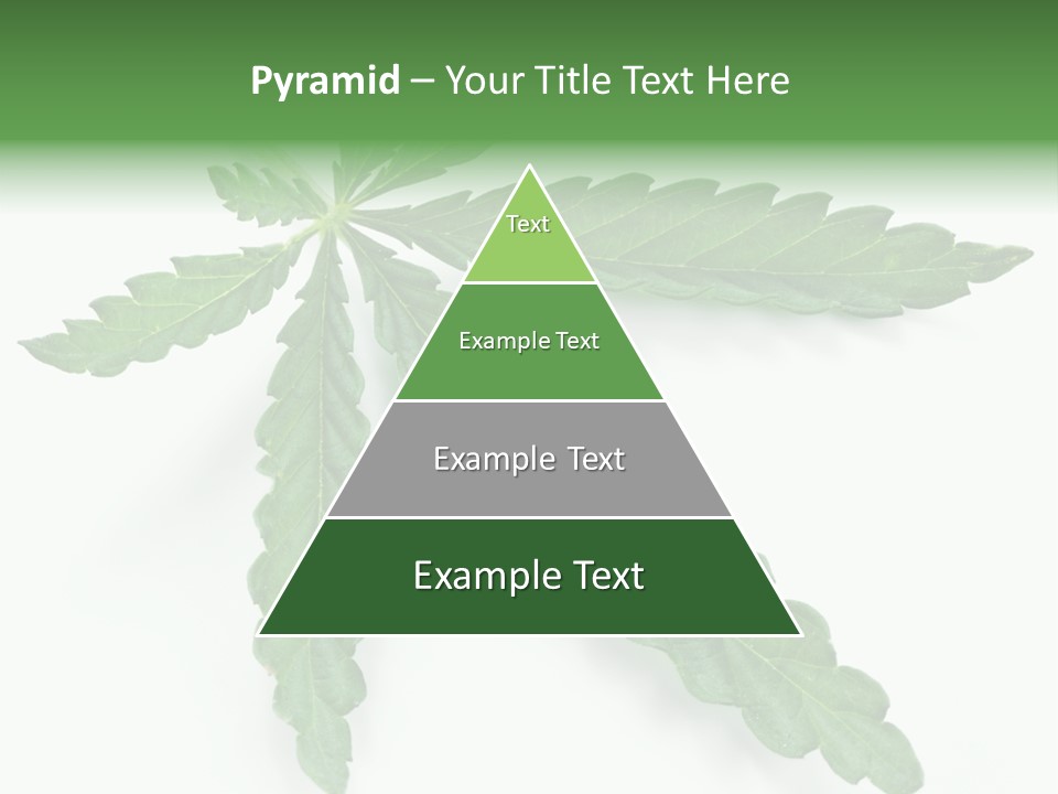 Joint Marijuana Medicine PowerPoint Template