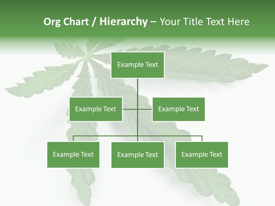 Joint Marijuana Medicine PowerPoint Template