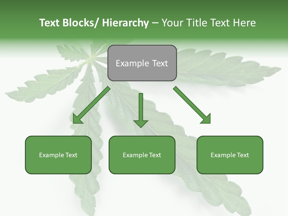 Joint Marijuana Medicine PowerPoint Template