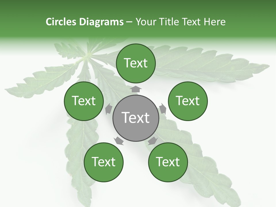 Joint Marijuana Medicine PowerPoint Template