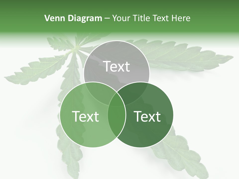 Joint Marijuana Medicine PowerPoint Template