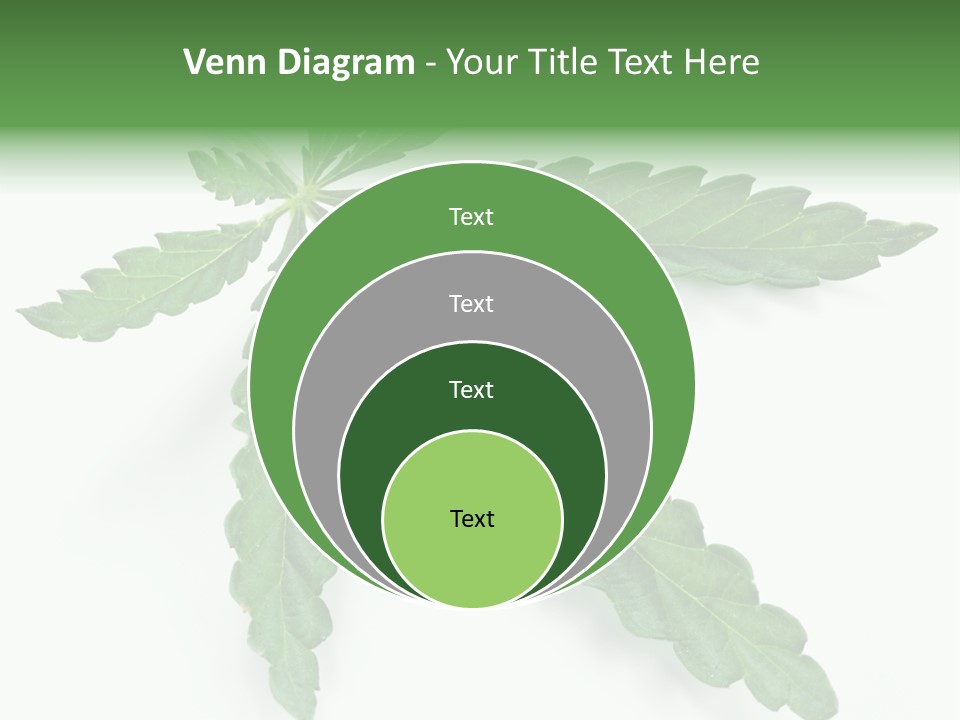 Joint Marijuana Medicine PowerPoint Template