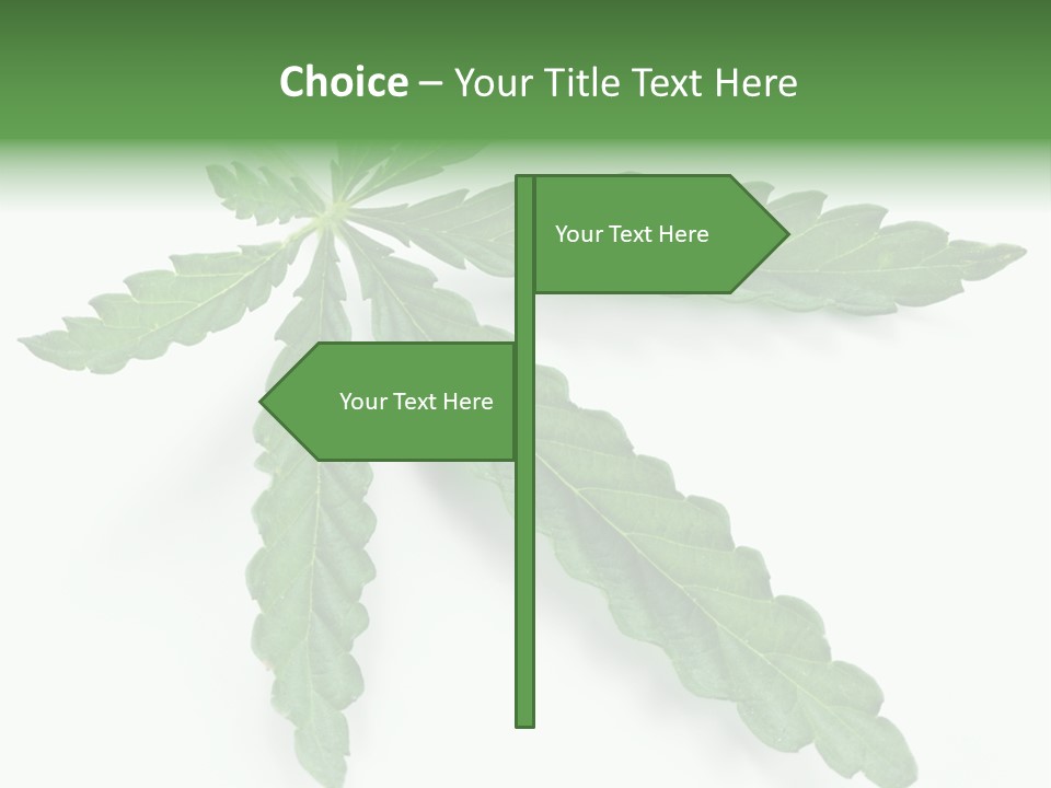 Joint Marijuana Medicine PowerPoint Template