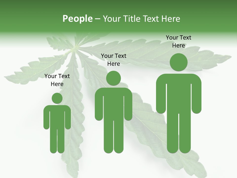 Joint Marijuana Medicine PowerPoint Template