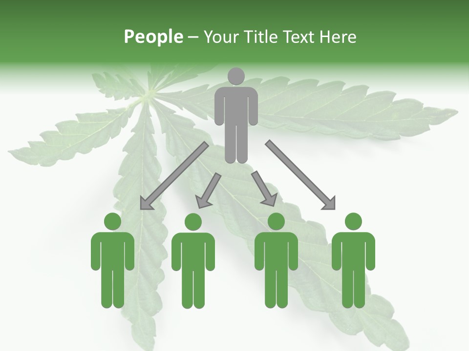 Joint Marijuana Medicine PowerPoint Template