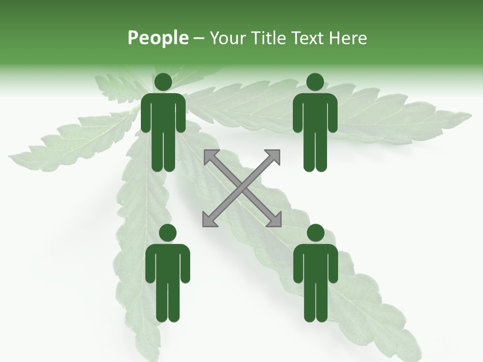Joint Marijuana Medicine PowerPoint Template