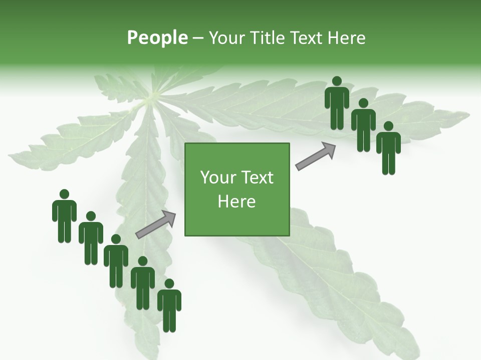 Joint Marijuana Medicine PowerPoint Template