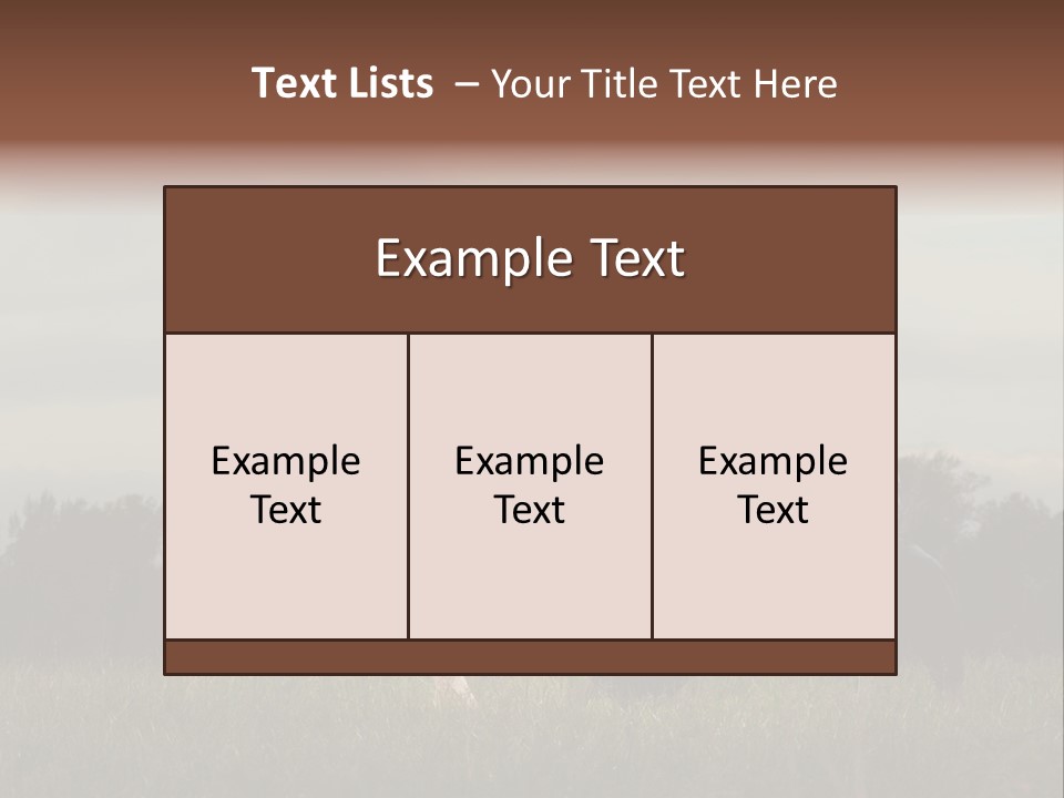 Practice Kick Fight PowerPoint Template