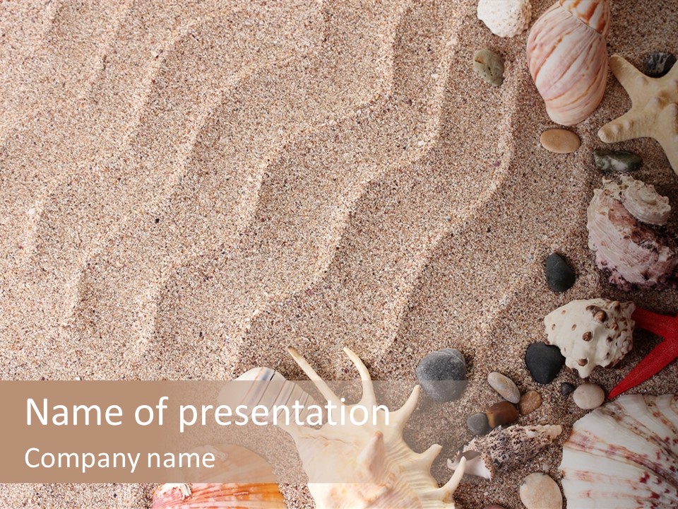 Sun Marine Summer PowerPoint Template