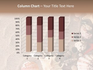 Sun Marine Summer PowerPoint Template