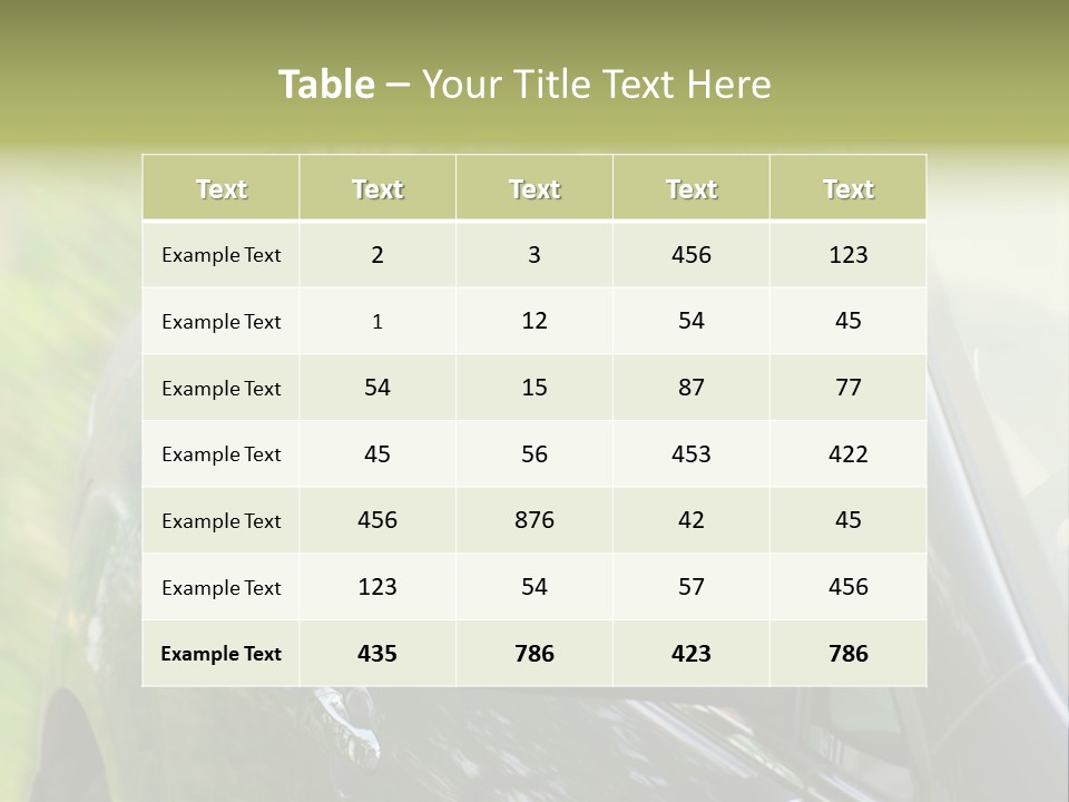 Driver Summer Girl PowerPoint Template