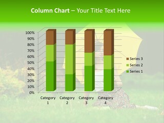 Weather Yellow Portrait PowerPoint Template