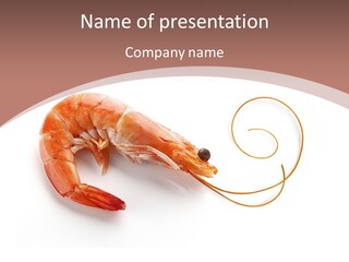 Shrimp Prawn Shellfish PowerPoint Template