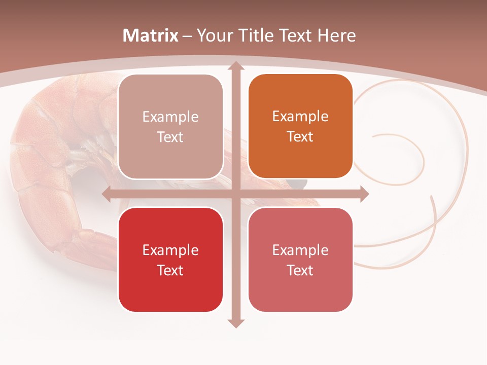 Shrimp Prawn Shellfish PowerPoint Template