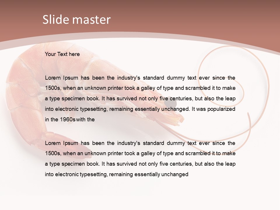 Shrimp Prawn Shellfish PowerPoint Template