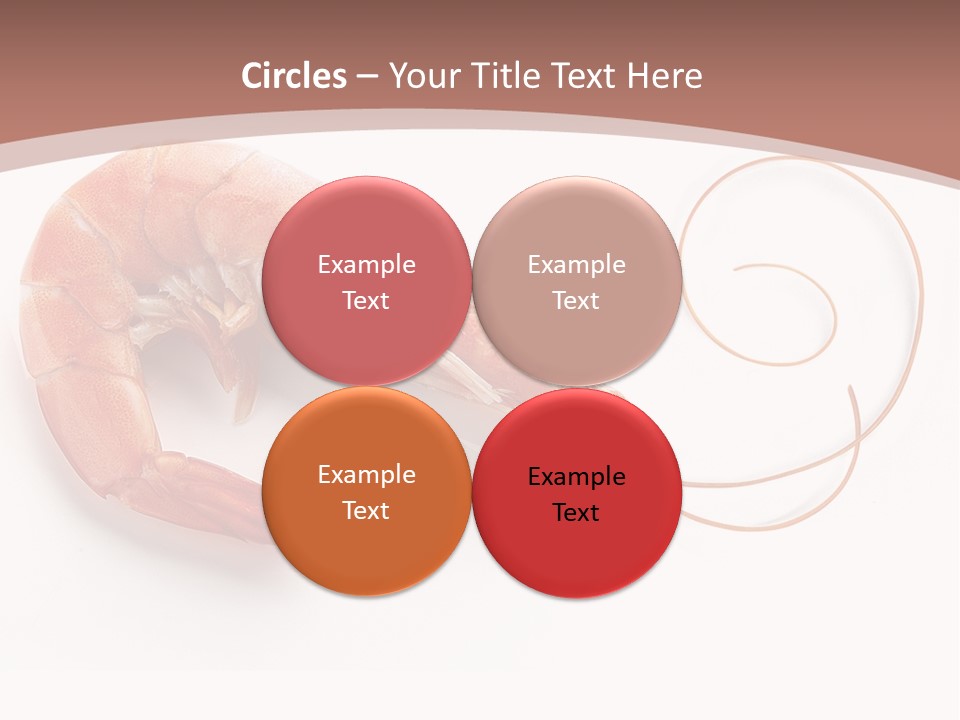 Shrimp Prawn Shellfish PowerPoint Template