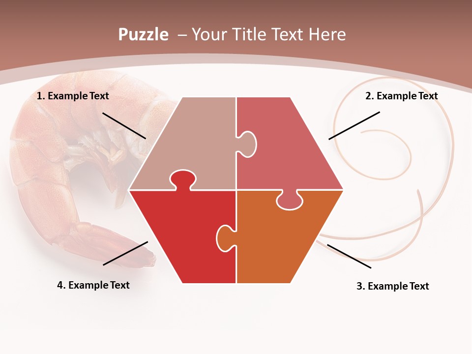 Shrimp Prawn Shellfish PowerPoint Template