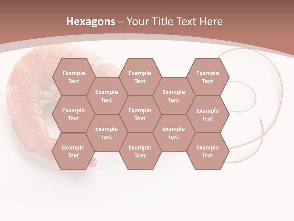 Shrimp Prawn Shellfish PowerPoint Template