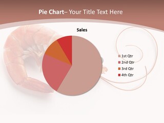Shrimp Prawn Shellfish PowerPoint Template