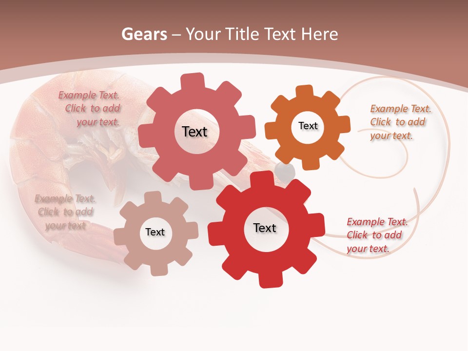 Shrimp Prawn Shellfish PowerPoint Template