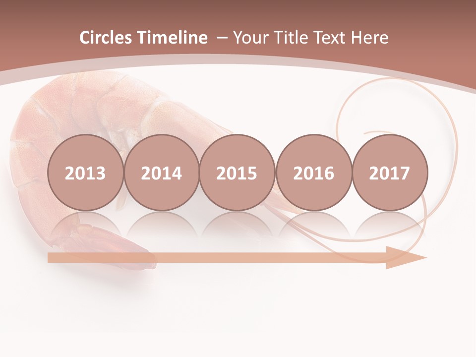 Shrimp Prawn Shellfish PowerPoint Template