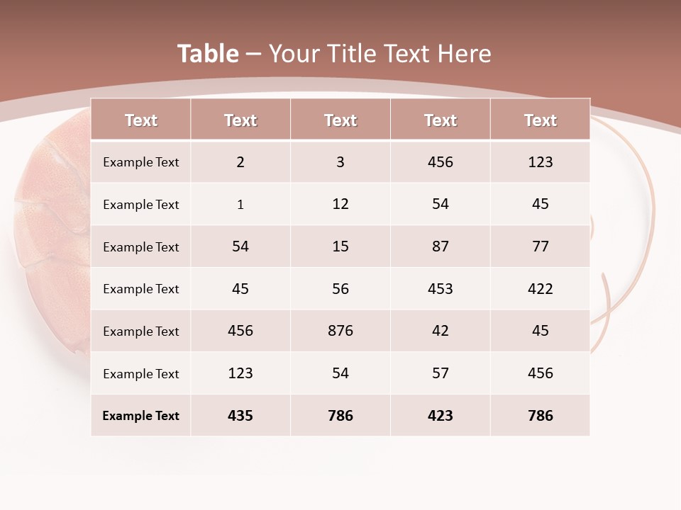 Shrimp Prawn Shellfish PowerPoint Template