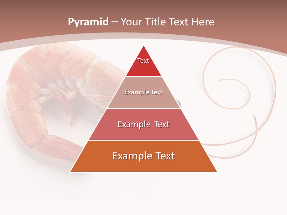 Shrimp Prawn Shellfish PowerPoint Template