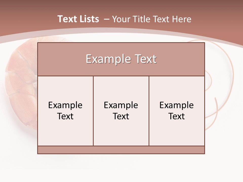 Shrimp Prawn Shellfish PowerPoint Template