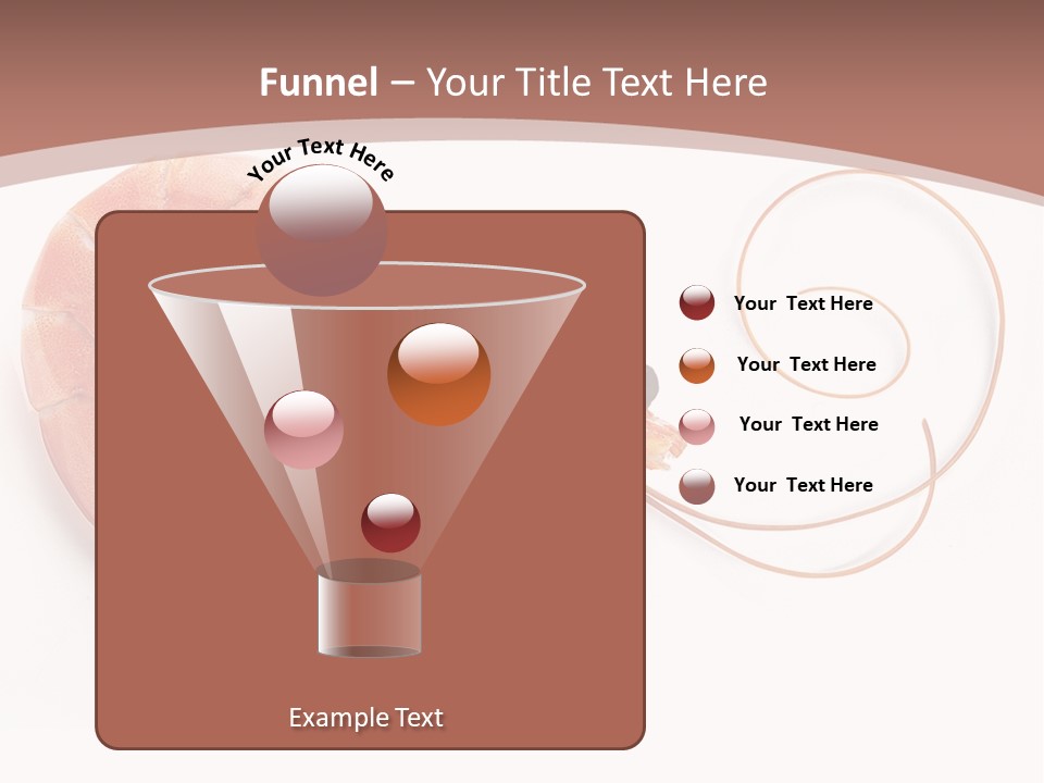 Shrimp Prawn Shellfish PowerPoint Template