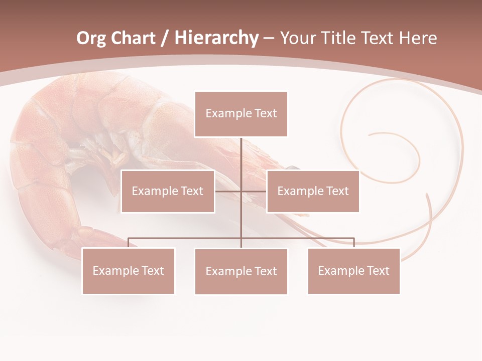 Shrimp Prawn Shellfish PowerPoint Template