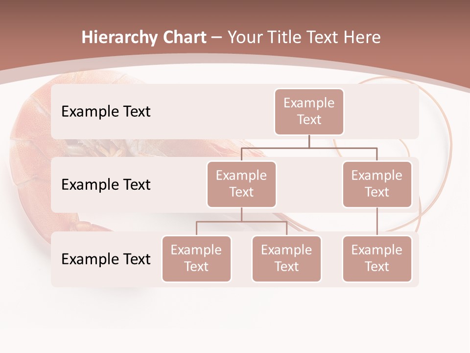 Shrimp Prawn Shellfish PowerPoint Template