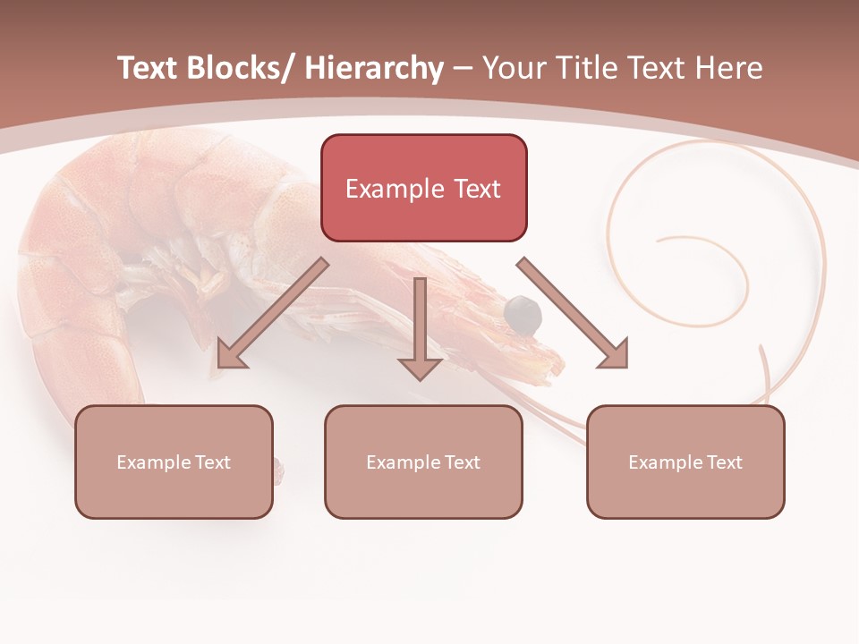 Shrimp Prawn Shellfish PowerPoint Template