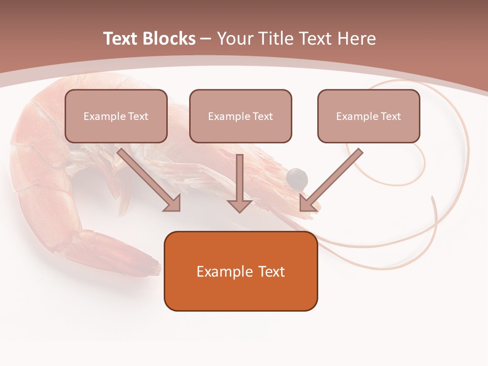 Shrimp Prawn Shellfish PowerPoint Template