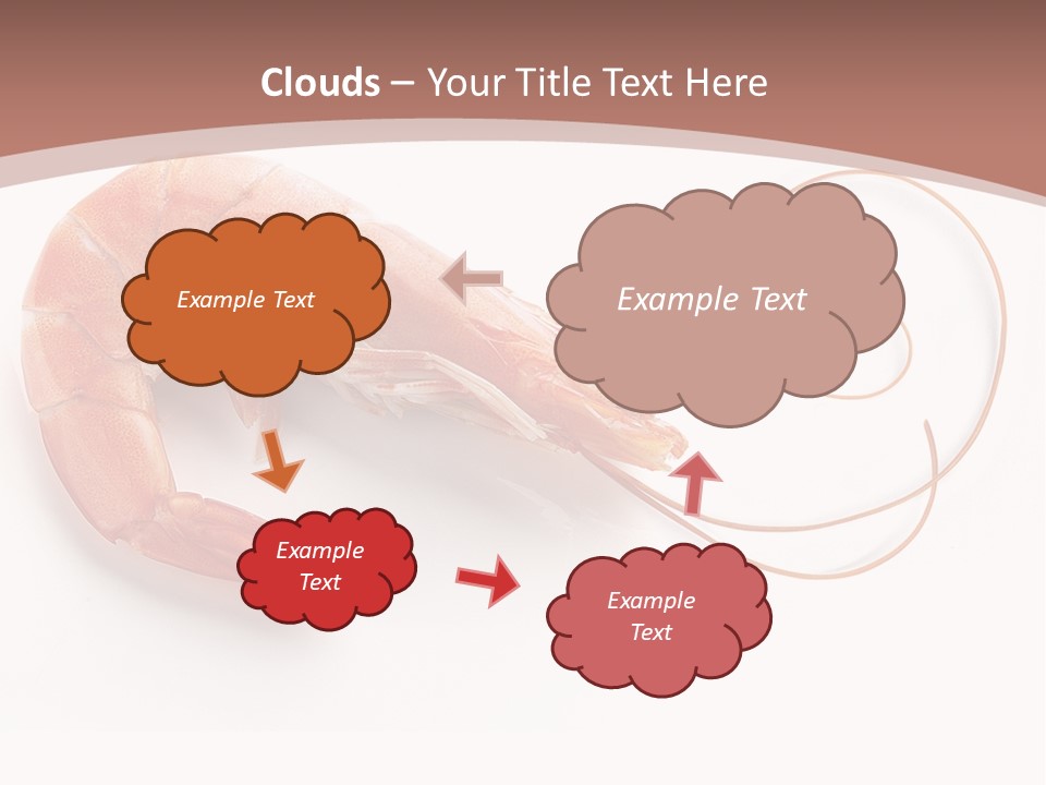 Shrimp Prawn Shellfish PowerPoint Template