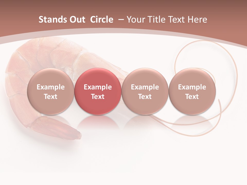 Shrimp Prawn Shellfish PowerPoint Template