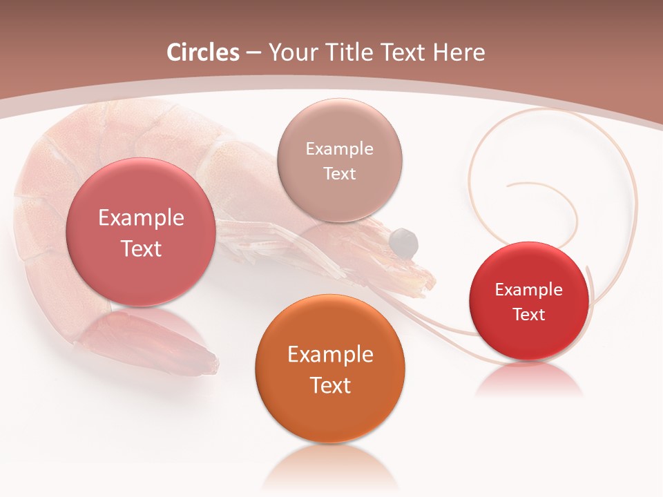 Shrimp Prawn Shellfish PowerPoint Template