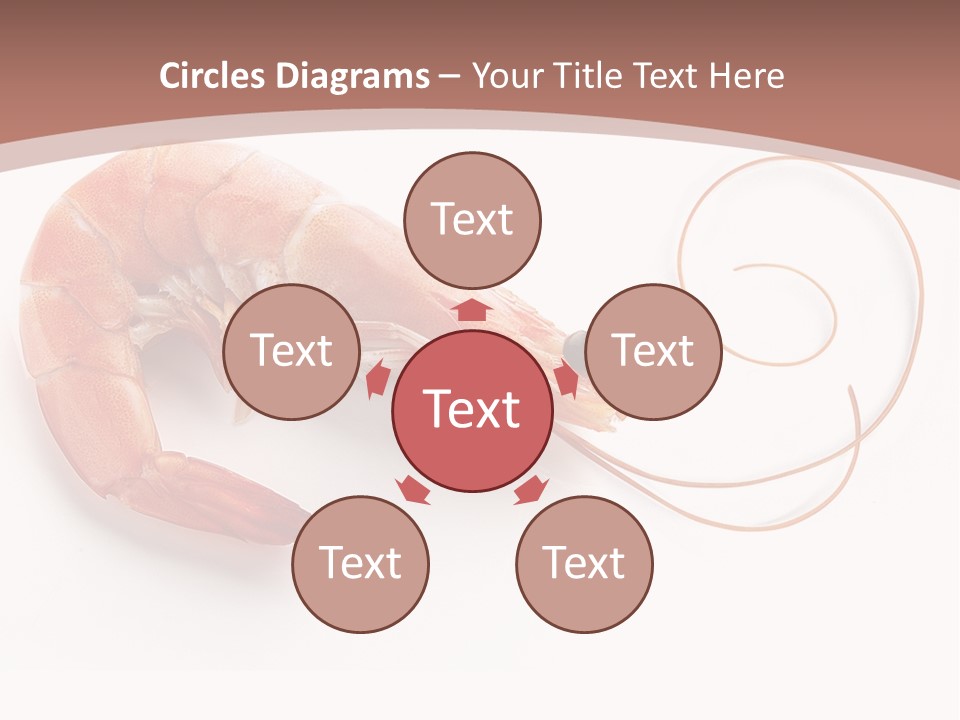 Shrimp Prawn Shellfish PowerPoint Template