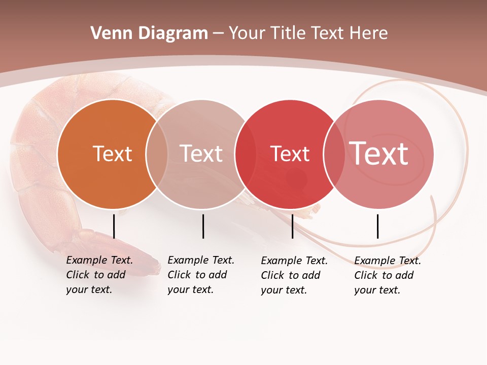 Shrimp Prawn Shellfish PowerPoint Template
